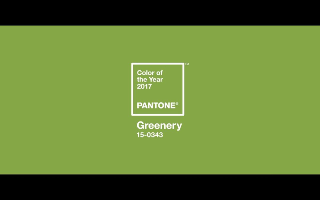 This is a picture of the Pantone Colour of the Year, Greenery